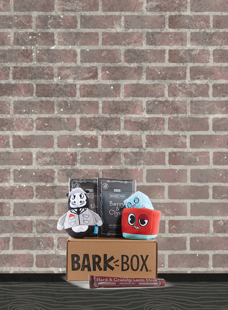 Monthly Themes BarkBox monthly-themes-barkbox